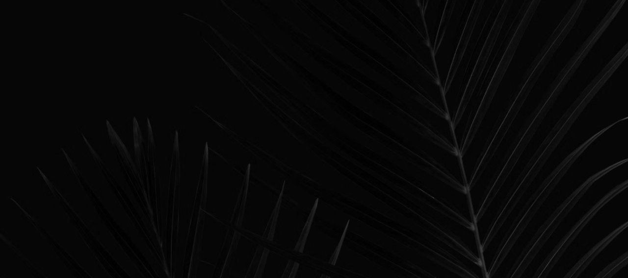 elegant dark botanical leaves background texture